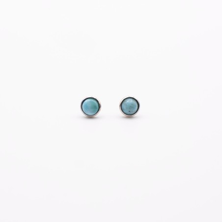 Náušnice z larimaru ve stříbře/Puzetové zapínání