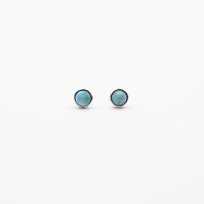 Náušnice z larimaru ve stříbře/Puzetové zapínání